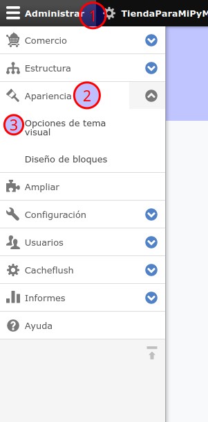 Ruta configurar tema